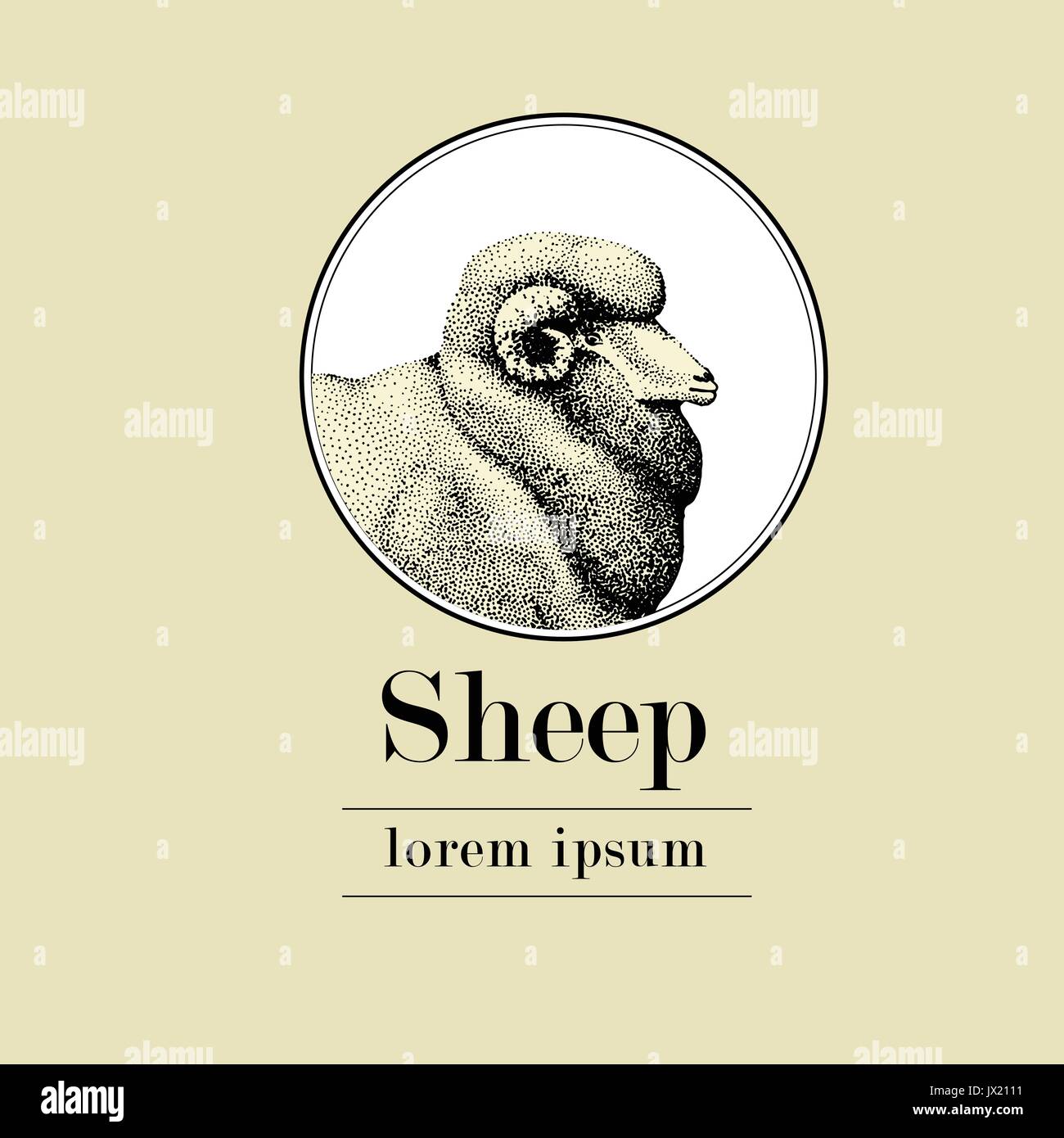 sheep, logo template, vector hand drawn vintage illustration Stock Vector