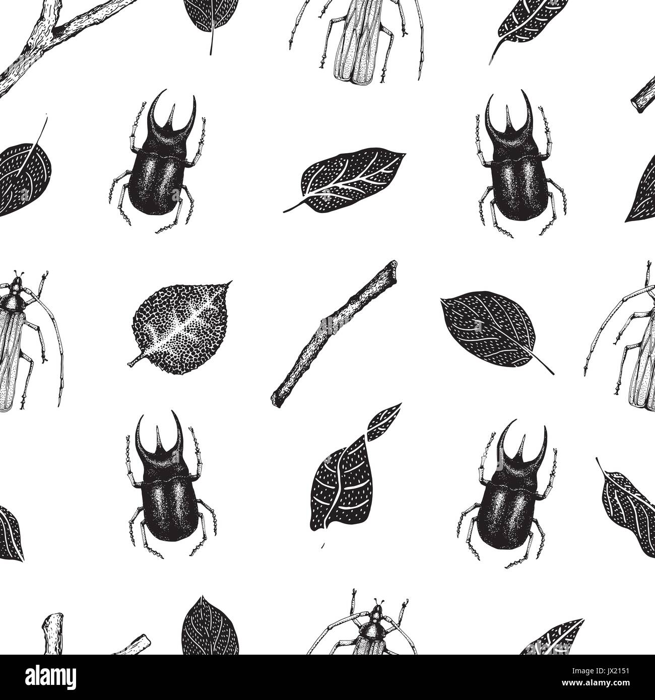 Vector vintage hand drawn vector seamless pattern with beetlles ...