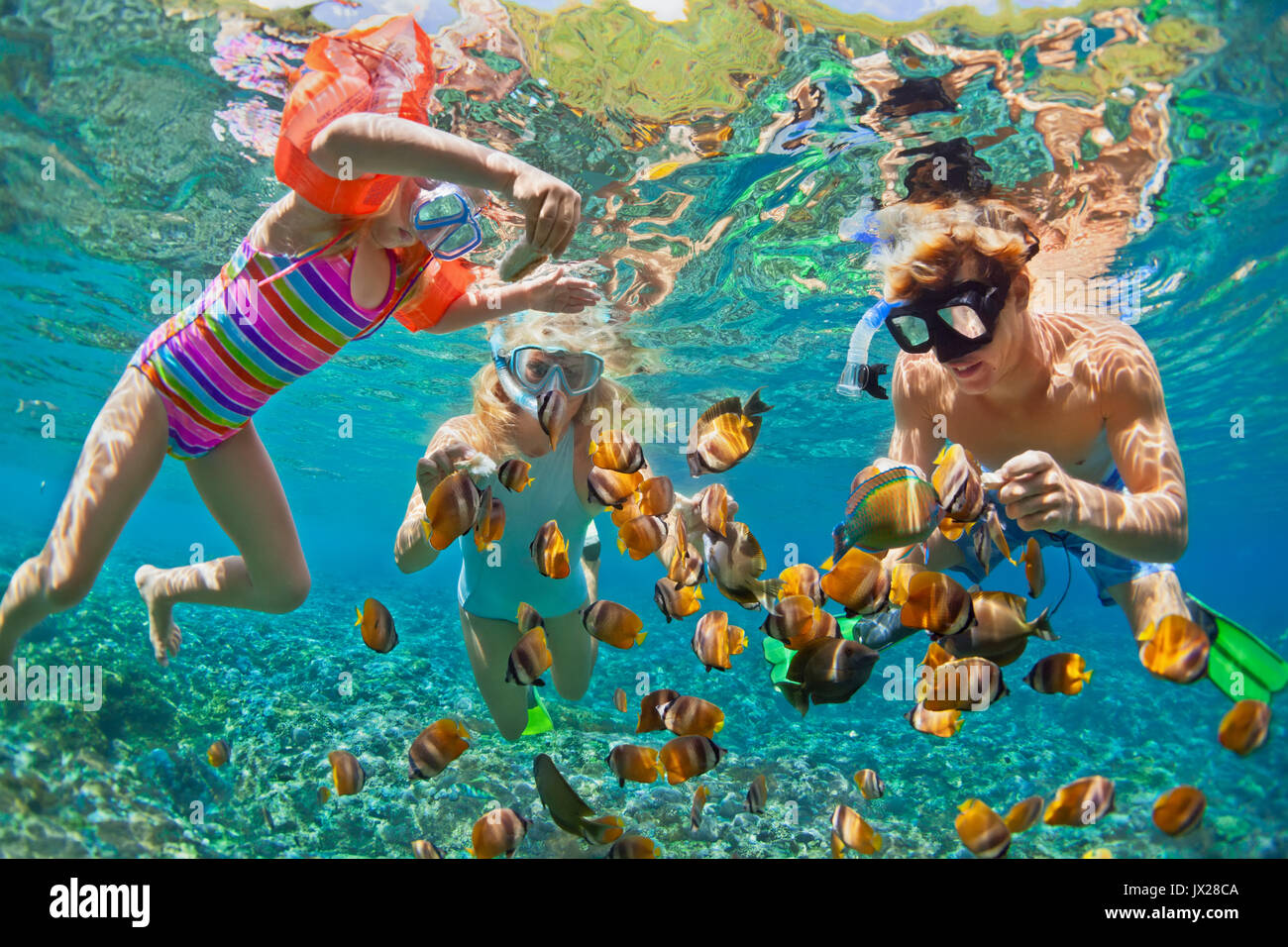 Snorkeling hires stock photography and images Alamy