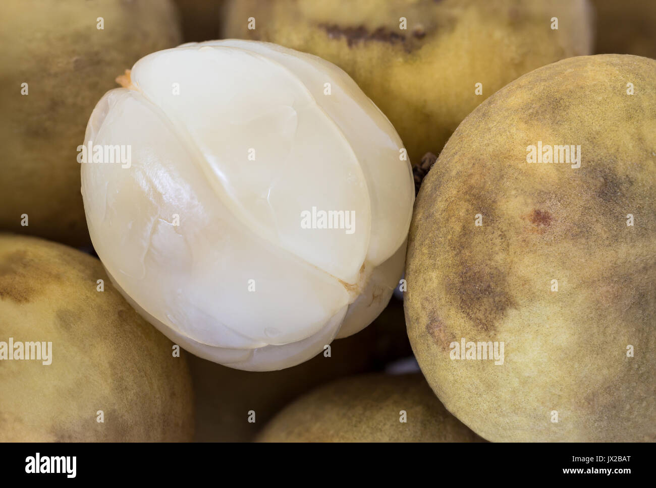 Lanzones hires stock photography and images Alamy