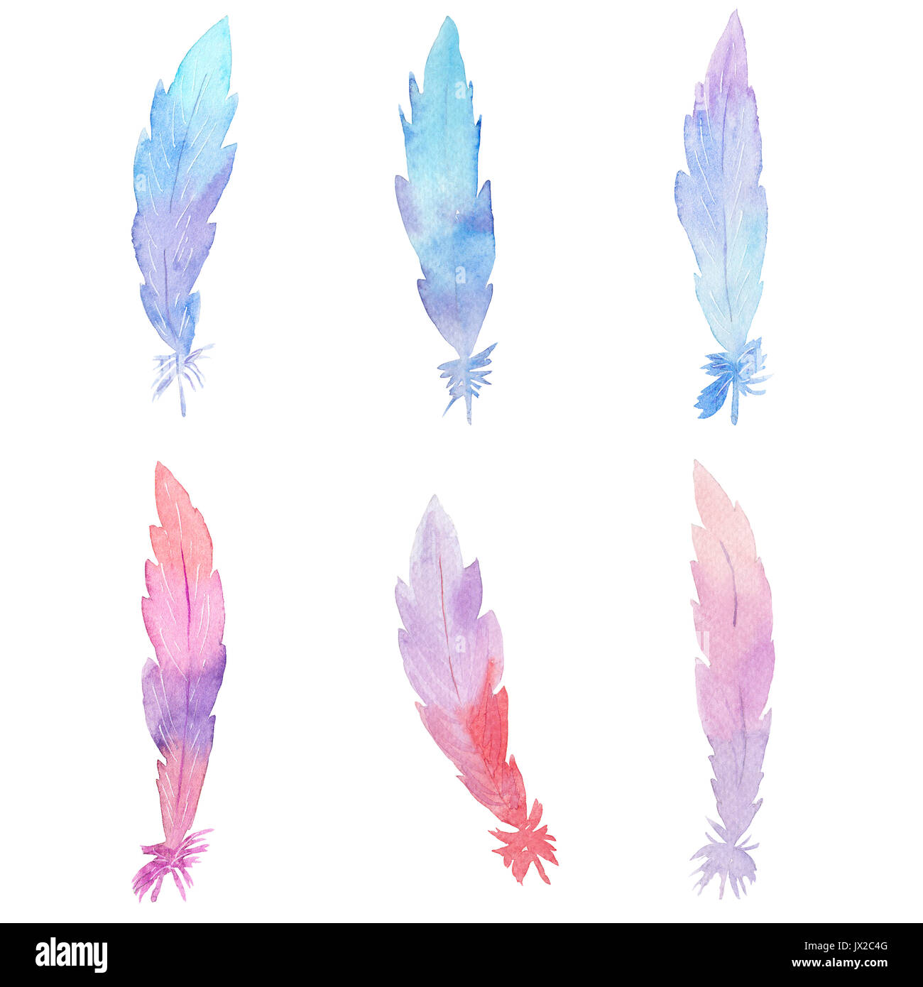 Watercolor hand drawn colorful feathers on white background Stock Photo ...