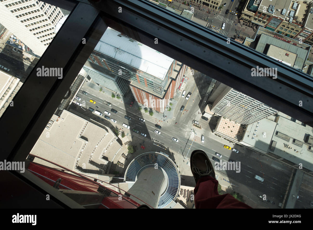 The View Straight Down Through The Glass Floor From The Viewing Platform of The Calgary Tower to The Street Below in Calgary Alberta Canada Stock Photo