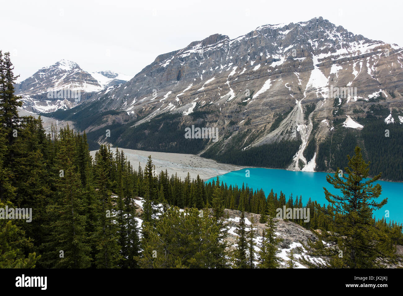 The Stunning Blue Waters of Peyto Lake in Banff National Park Canadian ...