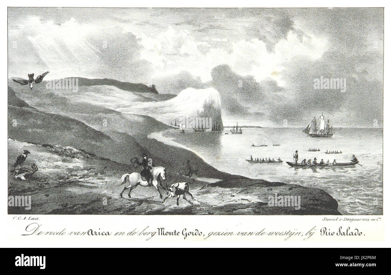 BOELEN(1835) T2 p369 DE REEDE VAN ARICA EN DE BERG MONTE GORDO Stock Photo  - Alamy