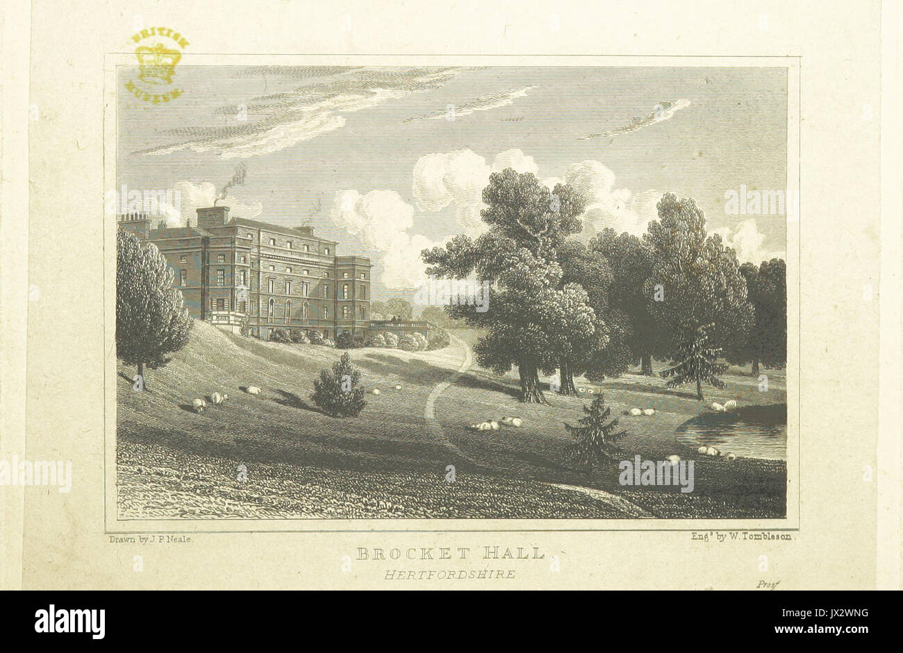 Neale(1829) p5 096   Brocket Hall, Hertfordshire Stock Photo
