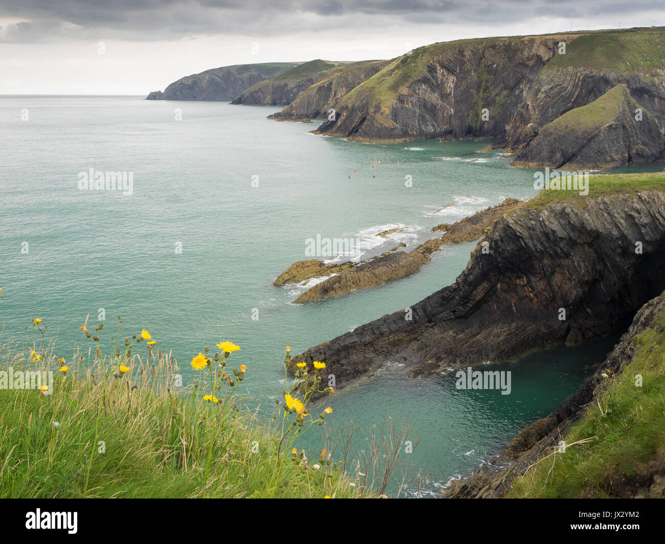 Ceibwr Bay, Pembrokeshire Coastal Path Stock Photo - Alamy