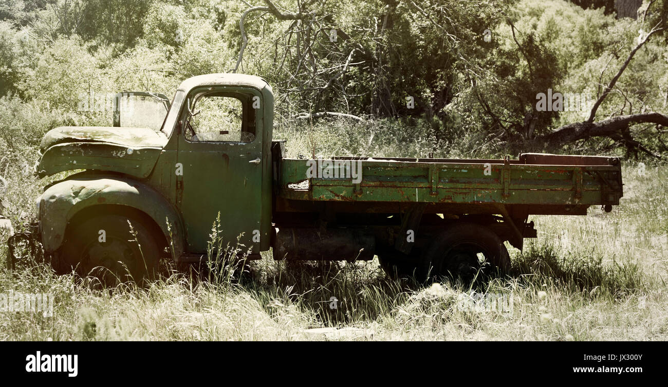 rusting old pick up truck dumped in scrub ground Stock Photo