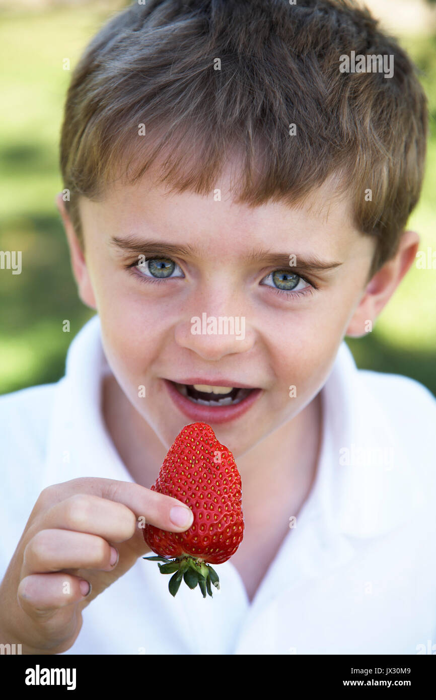 young child  out side eating a large ripe strawberry in his mouth Stock Photo