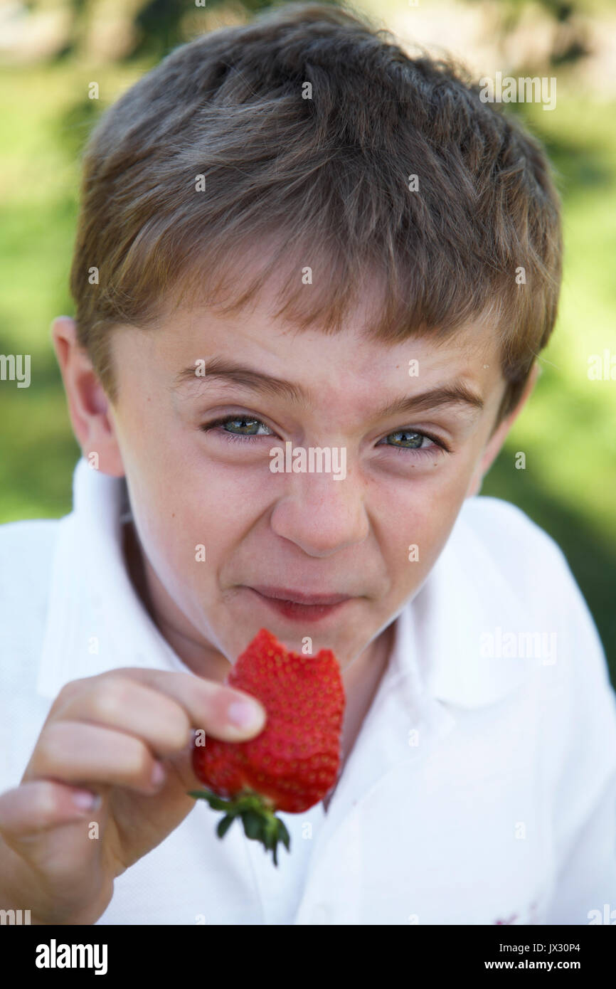 young child  out side eating a large ripe strawberry Stock Photo
