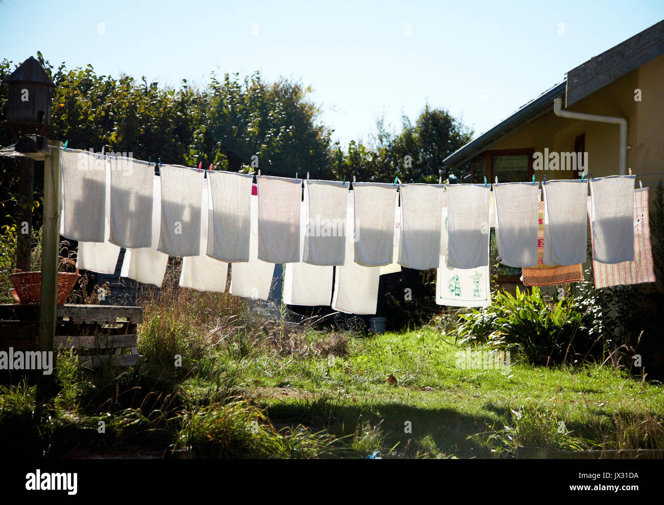 Nappies hanging out to dry Stock Photo
