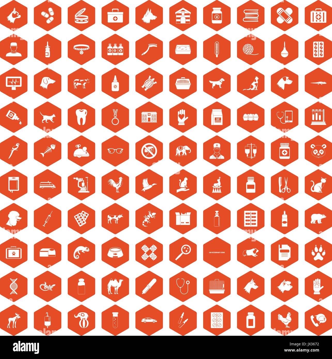 100 veterinary icons hexagon orange Stock Vector