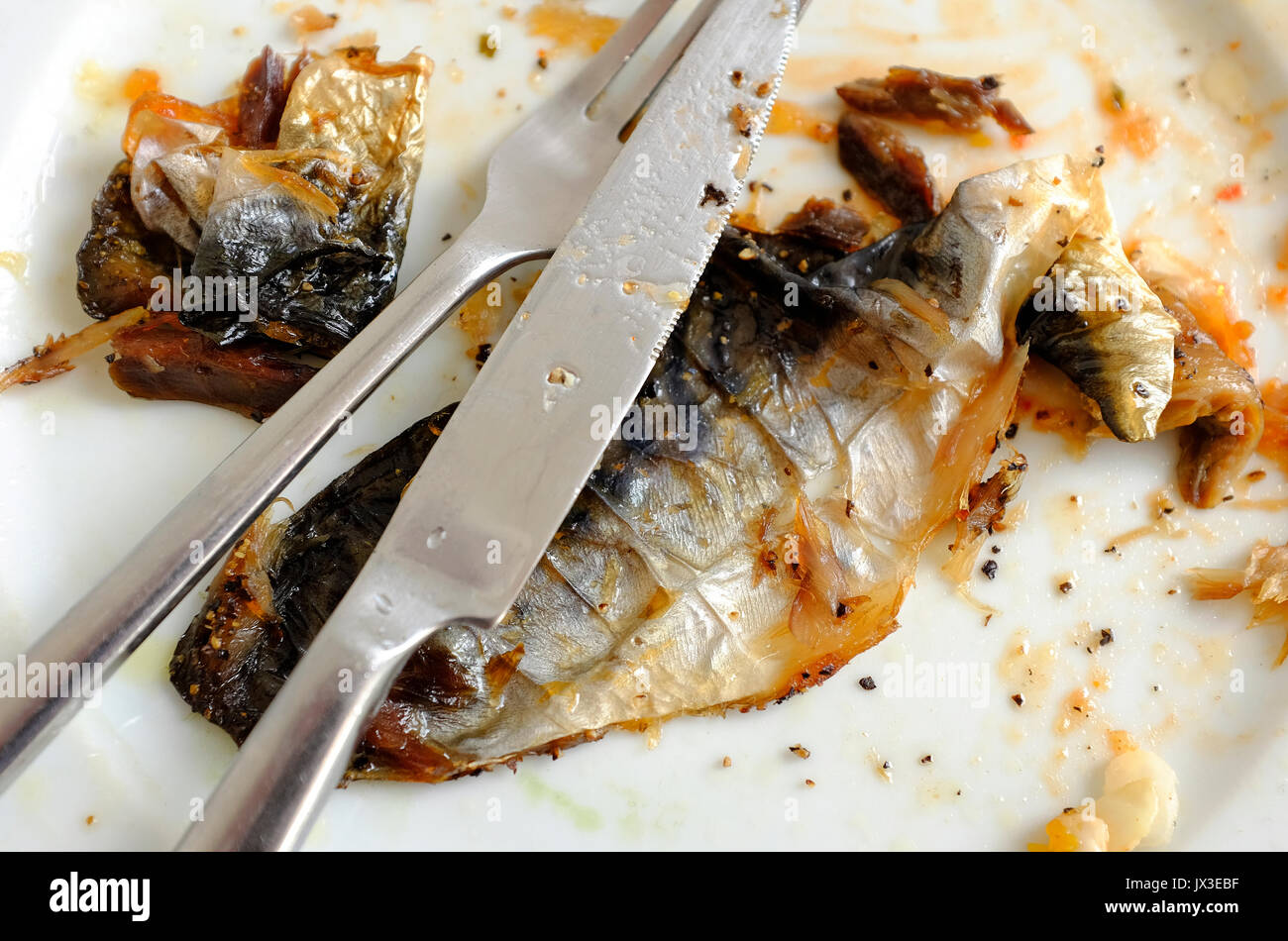 mackerel fish skins on white plate Stock Photo Alamy