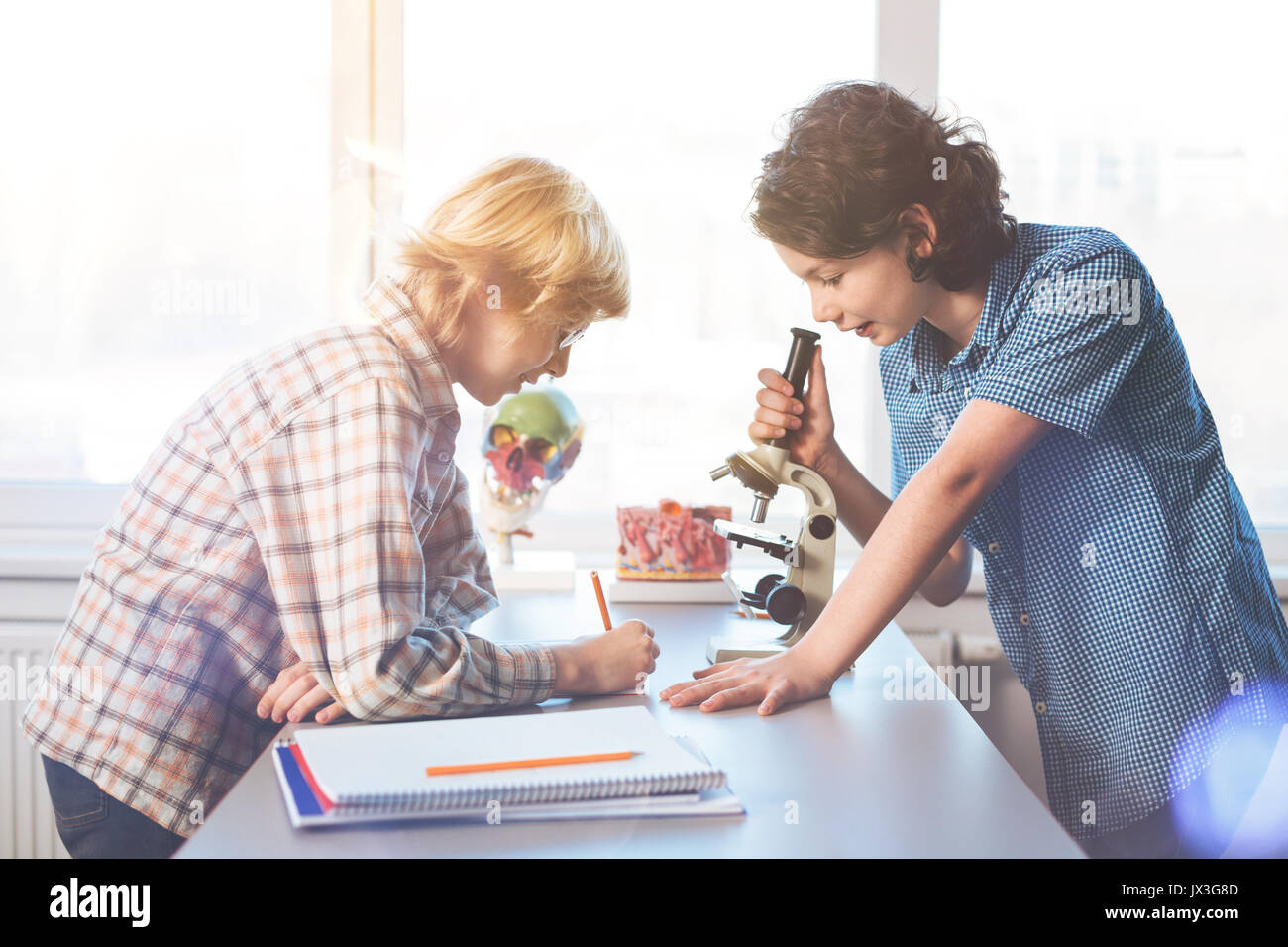 Two best friends doing lab research Stock Photo