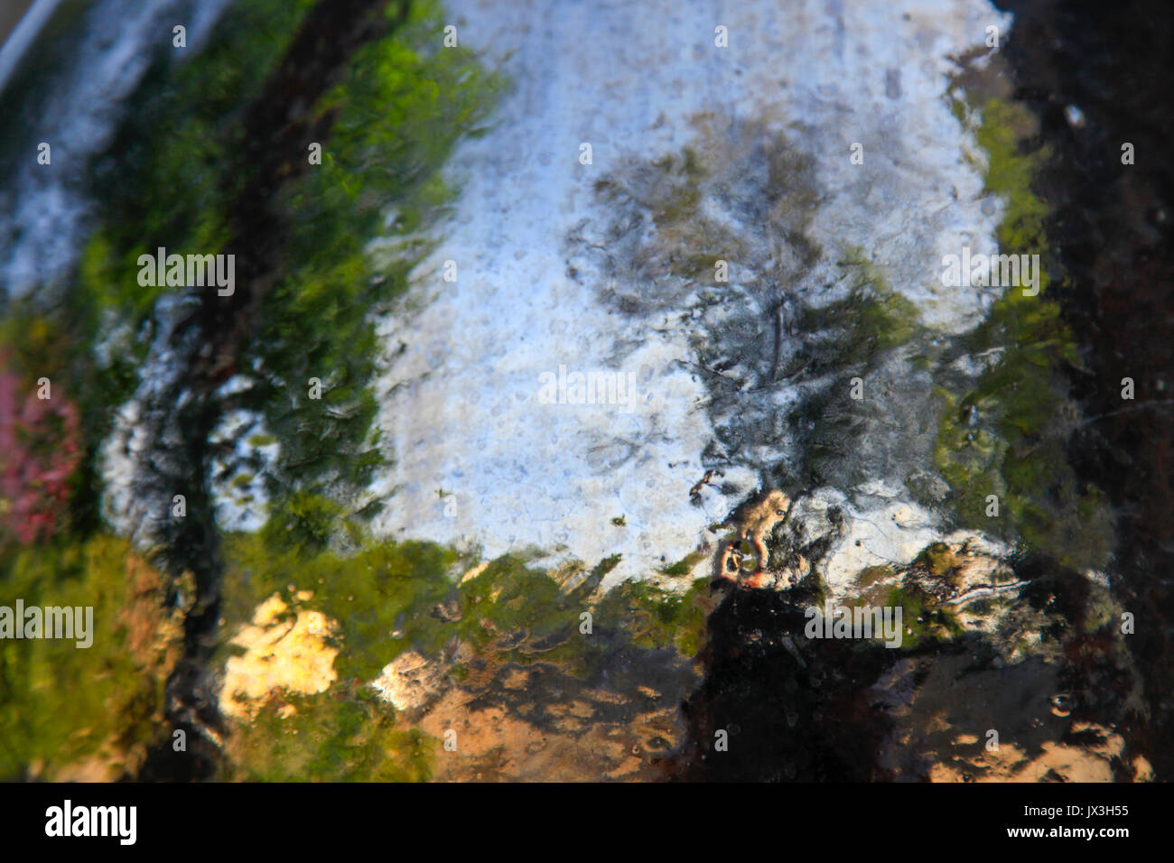 defocused outdoors Abstract photographed through wet glass Stock Photo