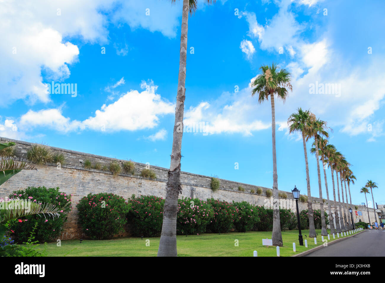 Flowers and Palm Trees Along Old Wall on Bermuda Stock Photo