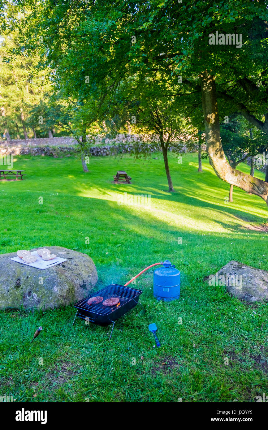 ccooking beef burgers on a gas barbacue wild camping in a forestry commission picnic area in scotland Stock Photo