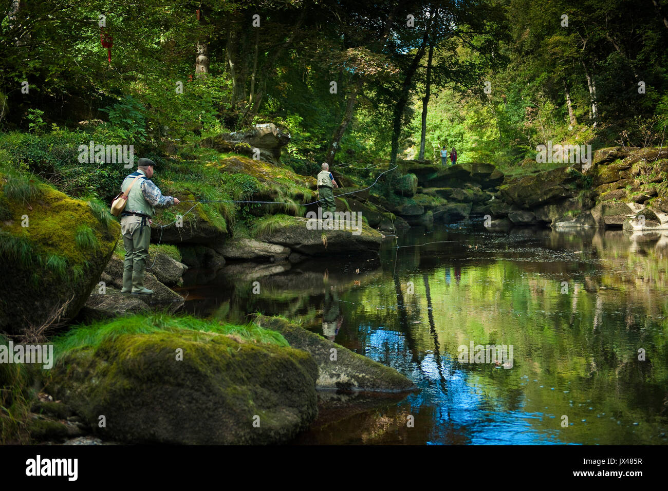 Fly fishing on the river wharfe in the Yorkshire Dales Stock Photo Alamy