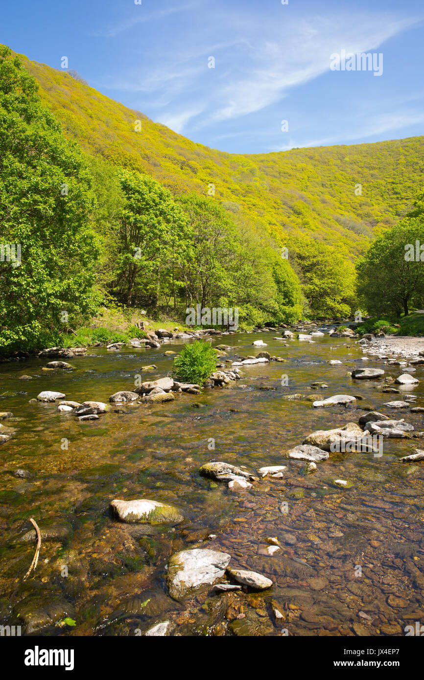 Devon scenery hi-res stock photography and images - Alamy