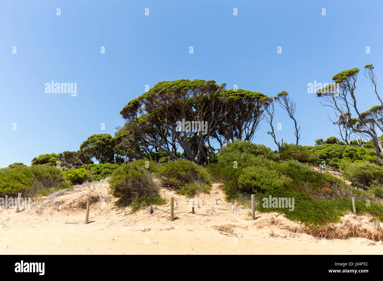 Red rocks beach phillip island hi-res stock photography and images - Alamy