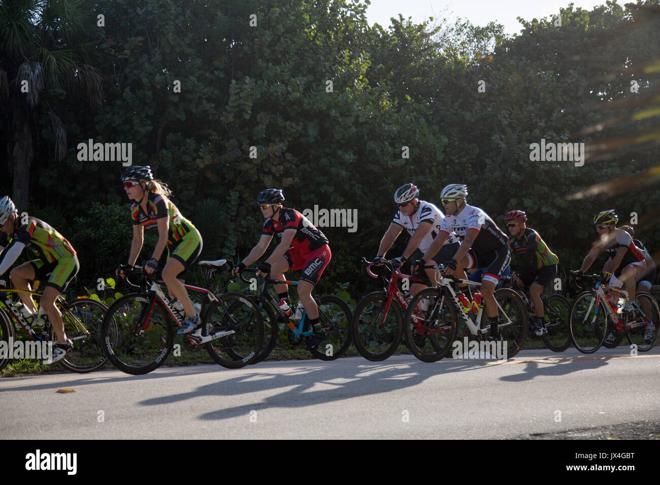 Cyclists riding in a group. Stock Photo