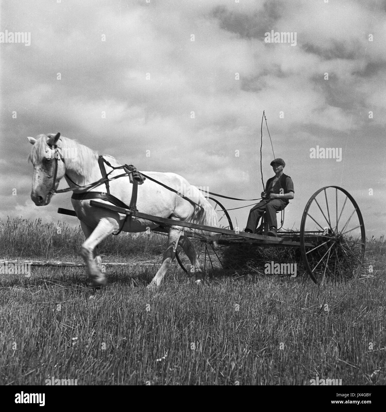Horse Drawn Hay Rake High Resolution Stock Photography and Images Alamy