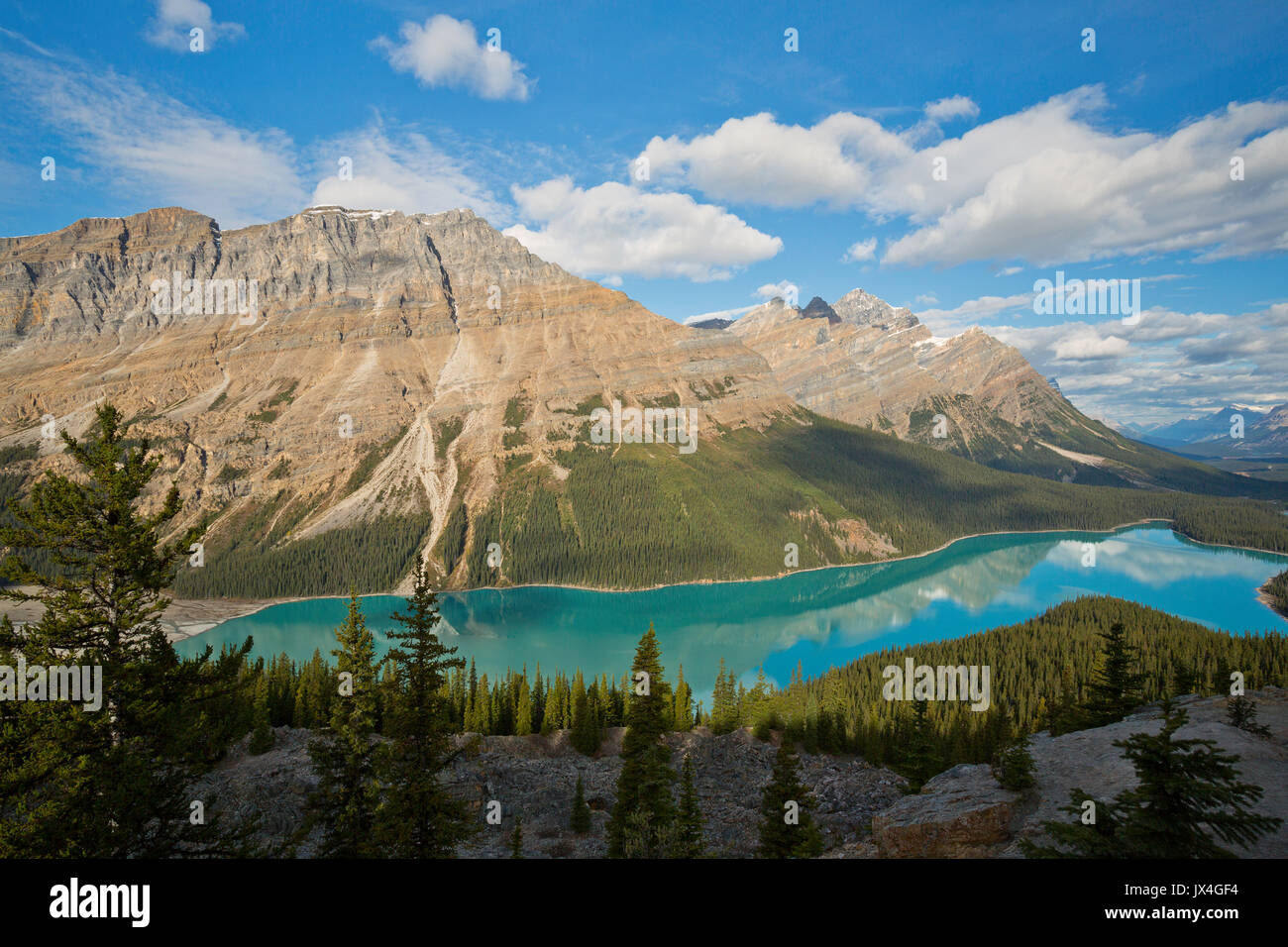 Peyto Lake in Banff National Park, Alberta, Canada Stock Photo - Alamy