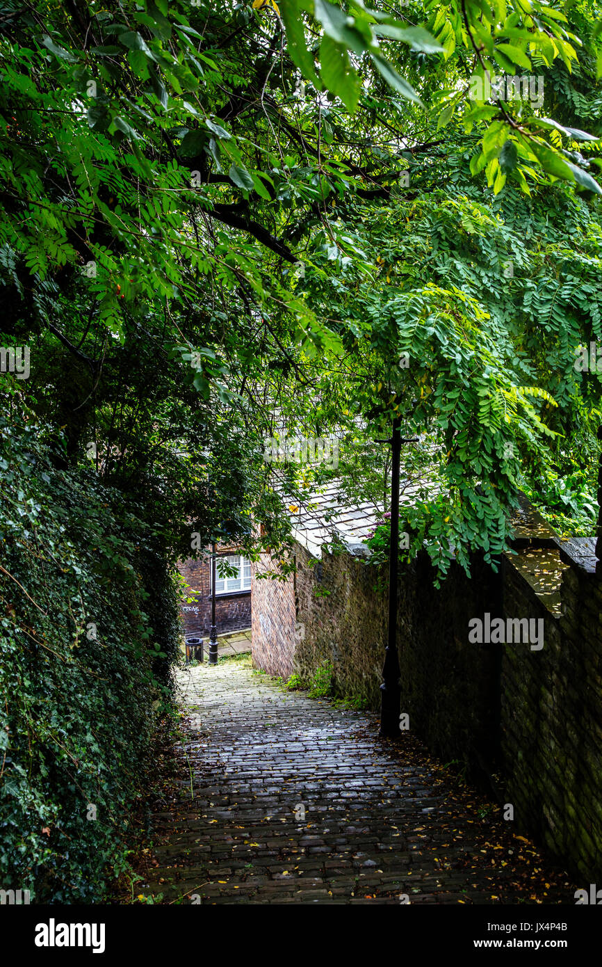 Looking Down Famous 108 Steps in Macclesfield with Trees Overhanging ...