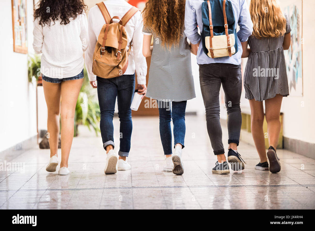 Group attractive teenage students in high school hall. Rear view. Stock Photo