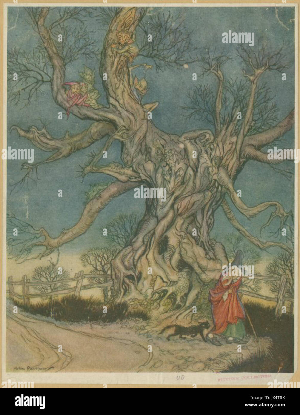 Major Andres Tree Rackham Stock Photo - Alamy