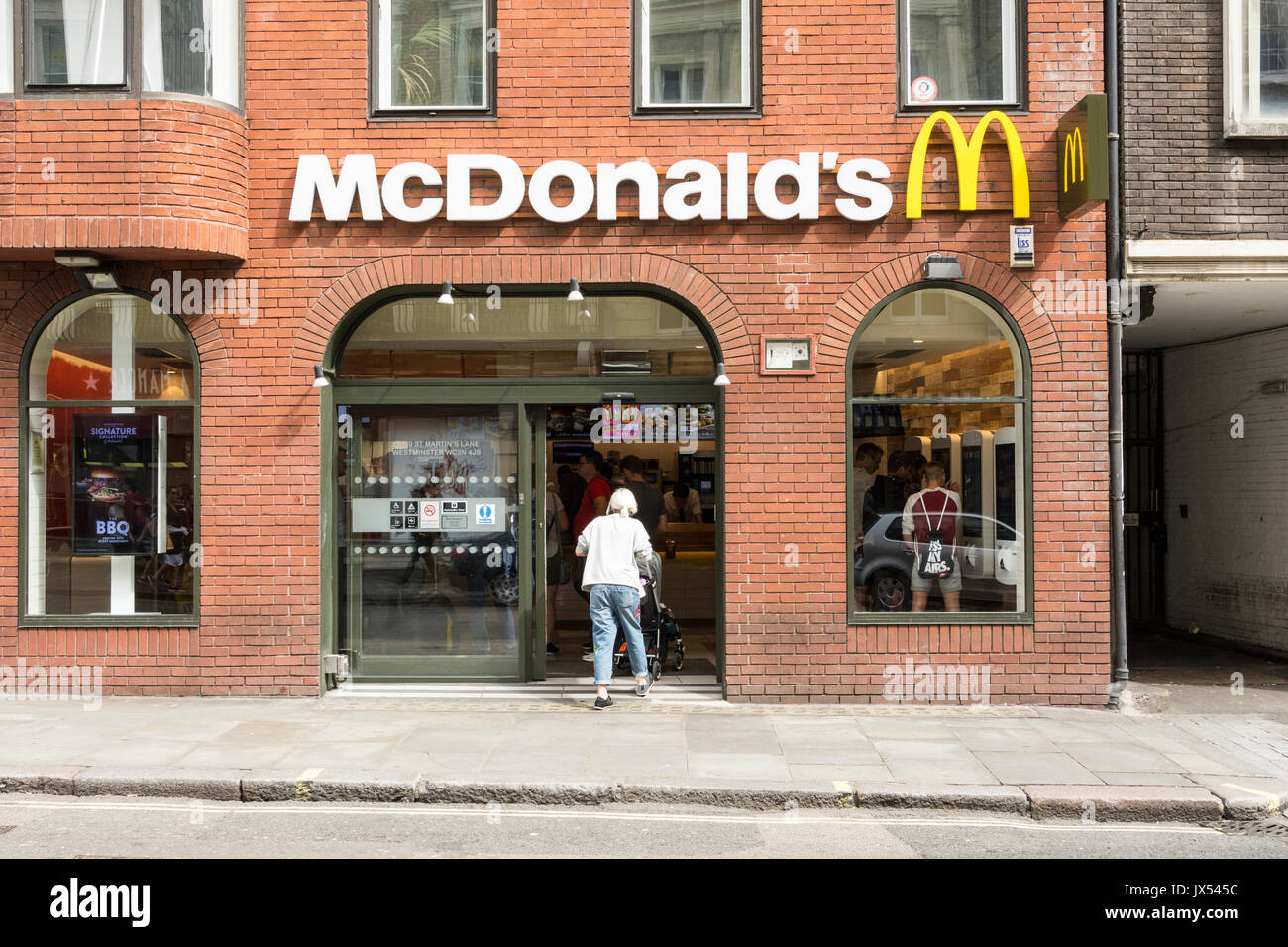 Why Do Martins Fly into Windows And Doors? Discover the Reasons