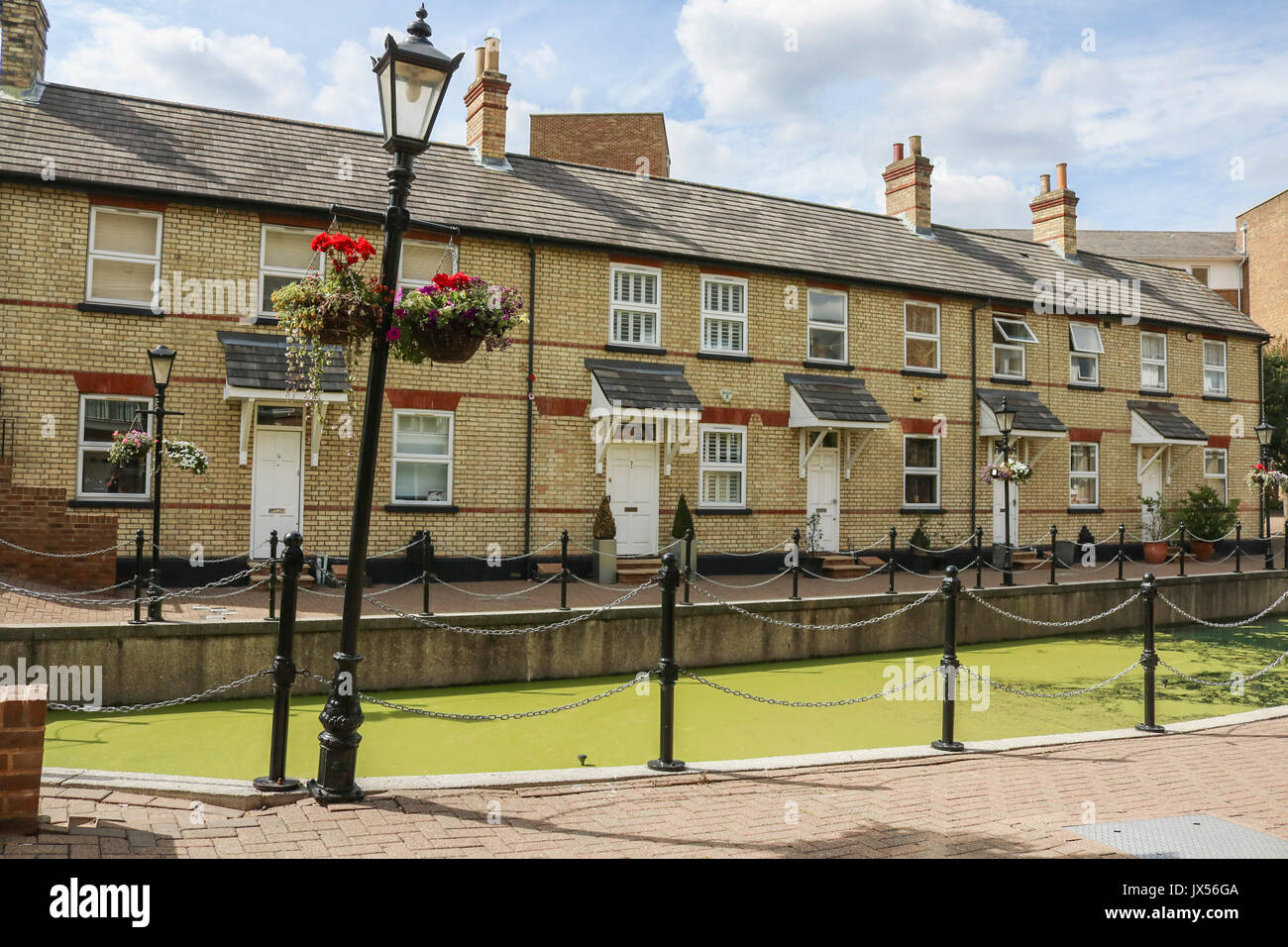 London 14th August 2017. Residential houses overlooking a canal in Limehouse east London covered in growing green algae due to the recent hot weather conditions Credit: amer ghazzal/Alamy Live News Stock Photo