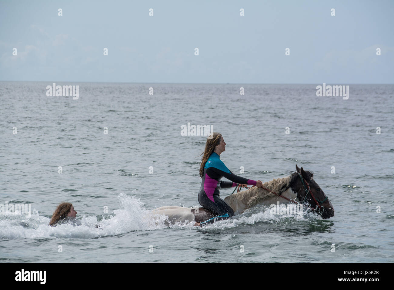 Longrock, near Marazion, Cornwall. 15th August 2017. UK Weather. The sunshine came out this afternoon in south west cornwall. Out in mounts bay people were swimming on horses, including Mea Sucato who flew from New York to Cornwall especially for a birthday treat of going into the waters off Long rock, in front of the iconic St Michaels Mount. Mea seen here being "towed" behind one of the horses. Credit: Simon Maycock/Alamy Live News Stock Photo