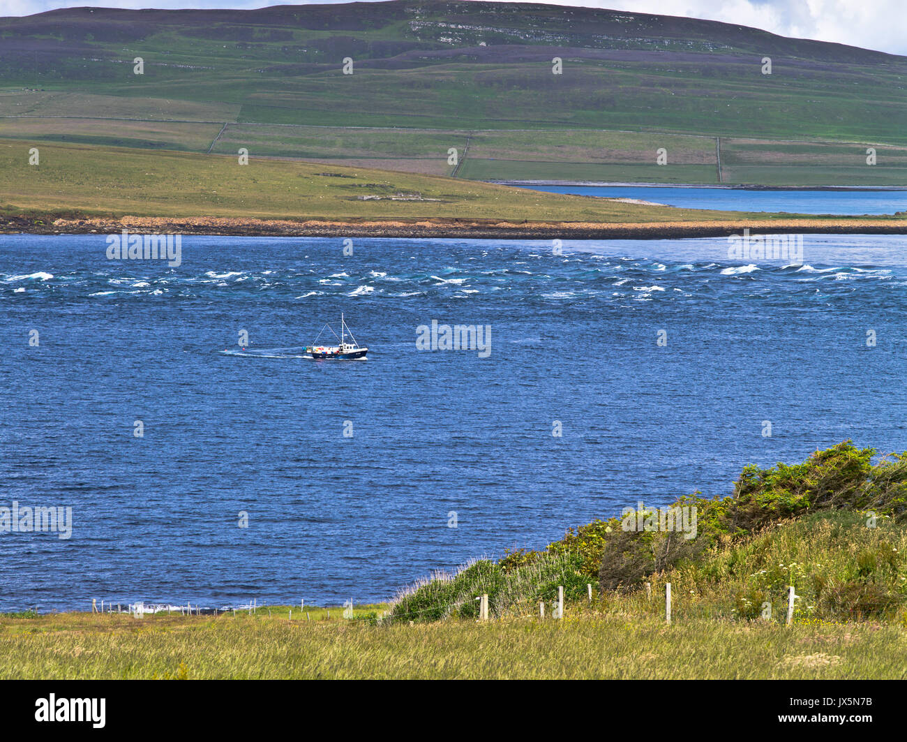 dh Eynhallow Sound Tidal race ROUSAY ORKNEY Powerful racing fast moving water rapid eddies hazardous current rip tide wave power strong riptide Stock Photo