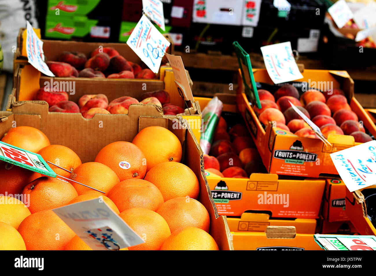 Oranges for sale at a Sheffield greengrocers Stock Photo Alamy