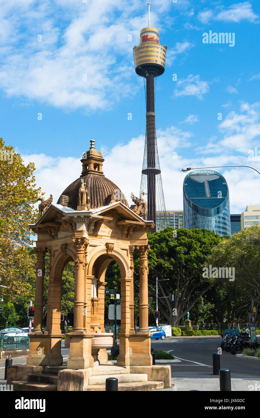 Sydney Centepoint Tower, Sydney seen from Hyde Park, New South Wales, Australia. Stock Photo
