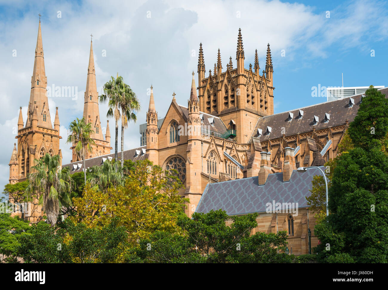 St Mary's Cathedral, College Street, Sydney, New South Wales, NSW, Australia. Stock Photo