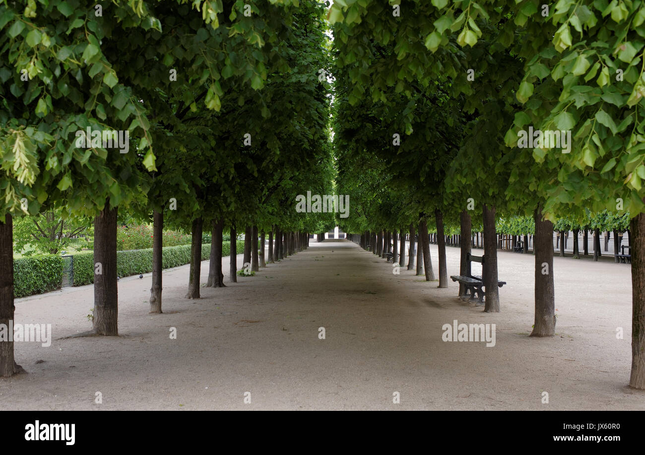 Passage du perron hires stock photography and images Alamy
