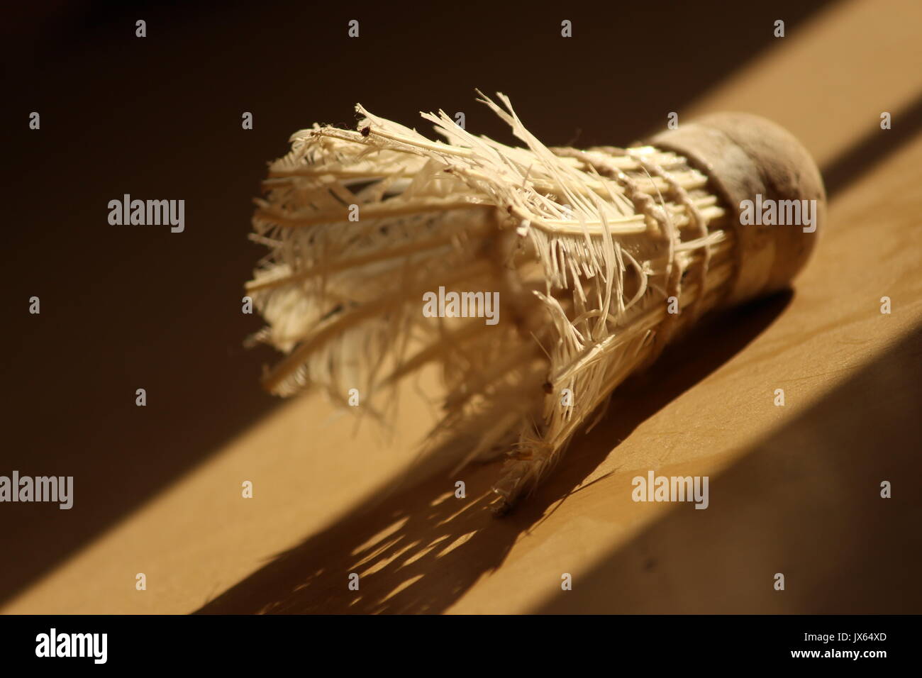 the morning sunlight bathing dusty shuttlecock and increasing its beauty..... Stock Photo