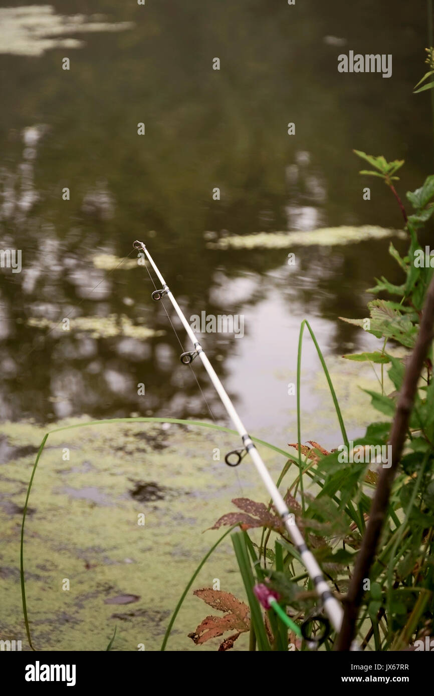 Fishing rod on the shore of the pond Stock Photo