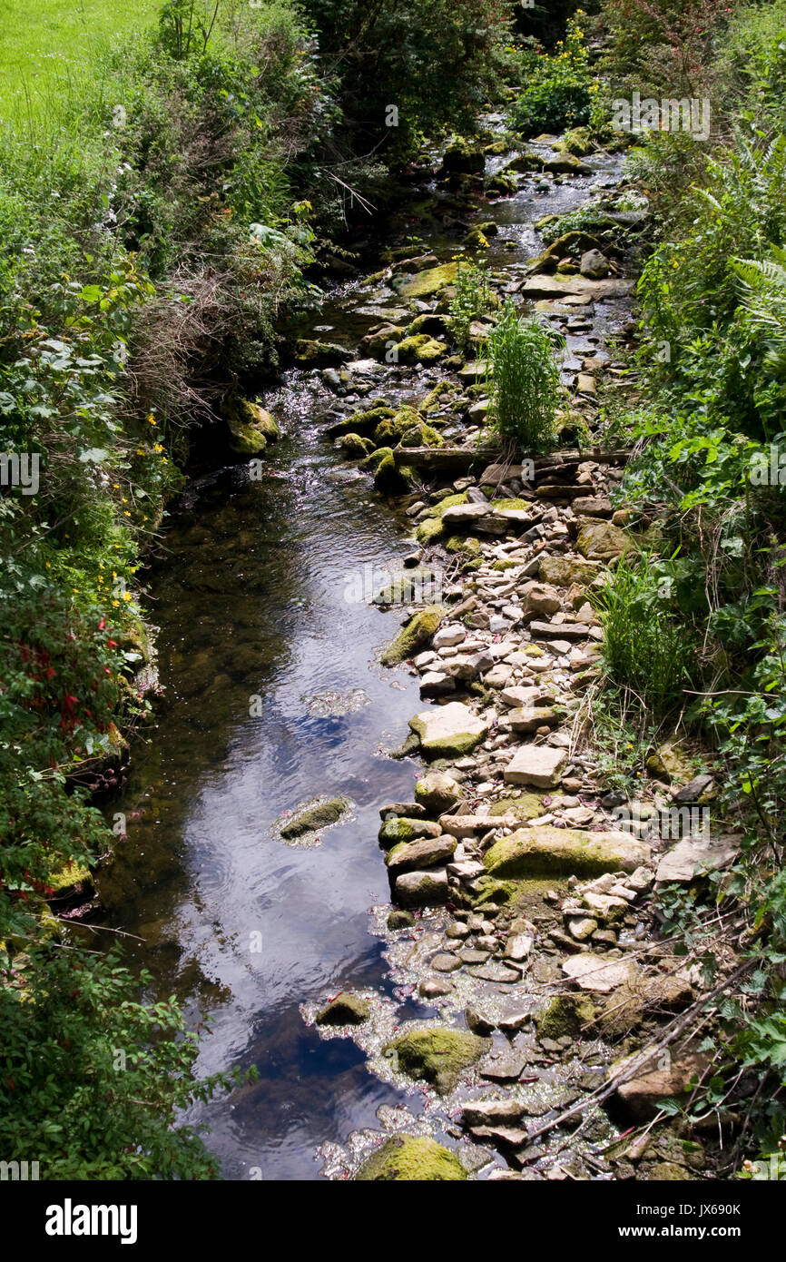 View of stream in the gardens at the Cambo Estate in Fife. Stock Photo