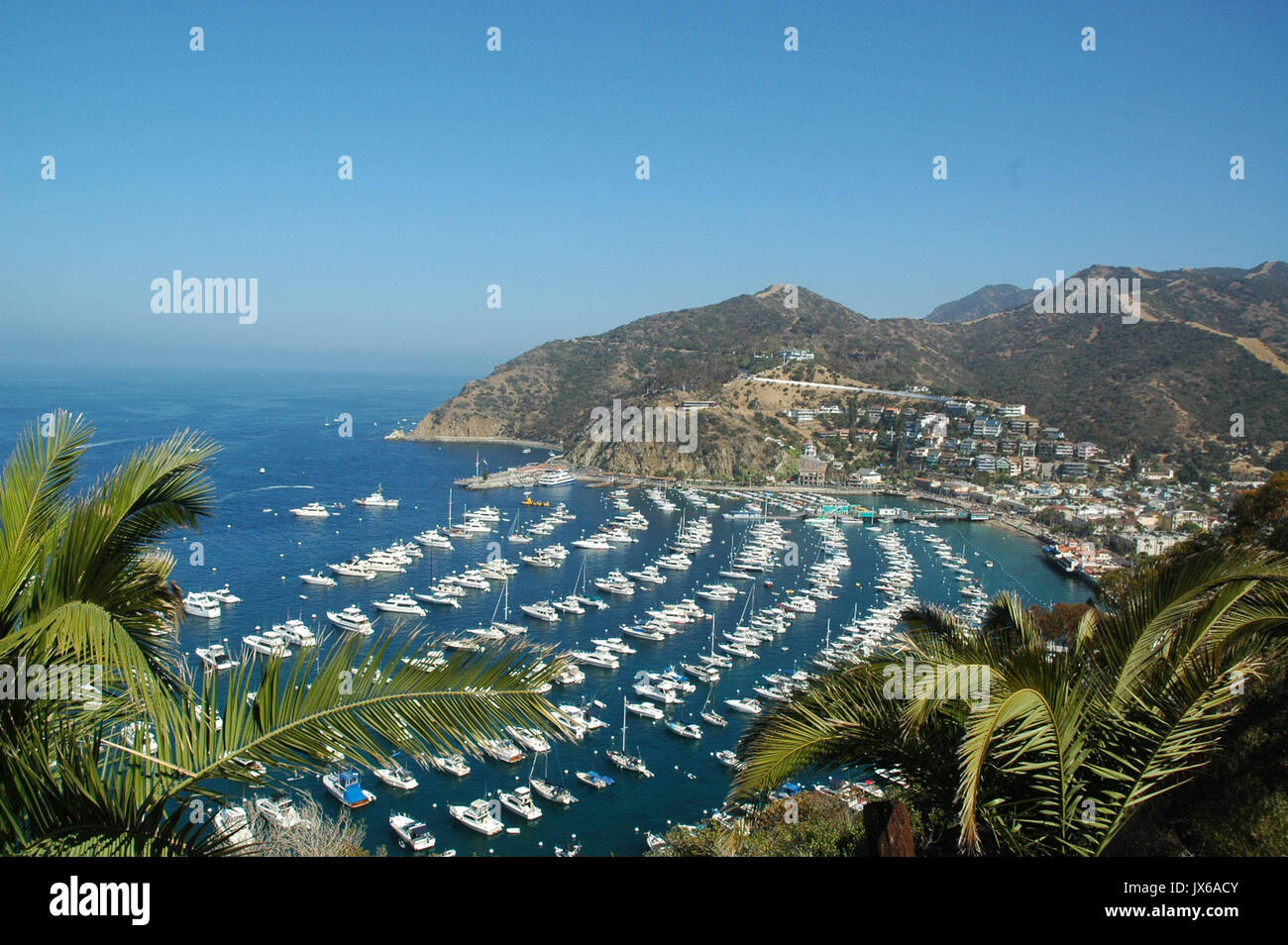 Avalon Bay Avalon Catalina Island High Resolution Stock Photography and