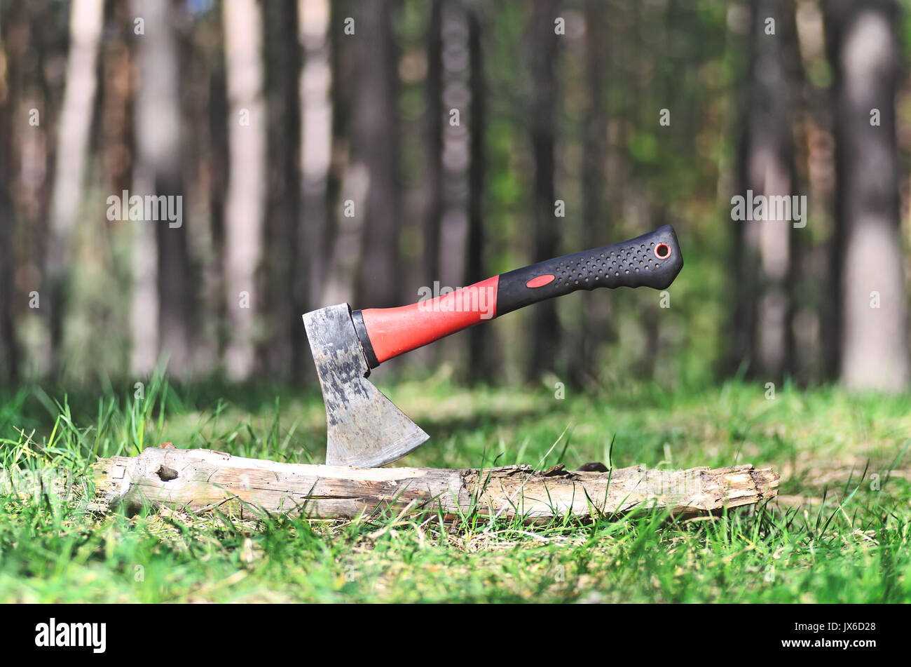 Tourist axe in wood outdoor. Chopping wood with ax. Ax stuck in a log of wood in the forest on nature background. Copy space of freedom, adventure, tr Stock Photo
