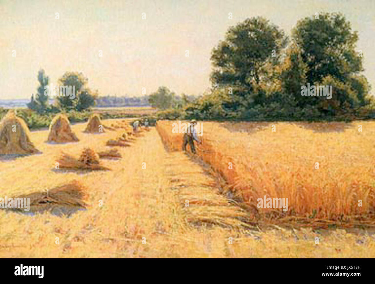 Work fields harvest festival hi-res stock photography and images - Alamy