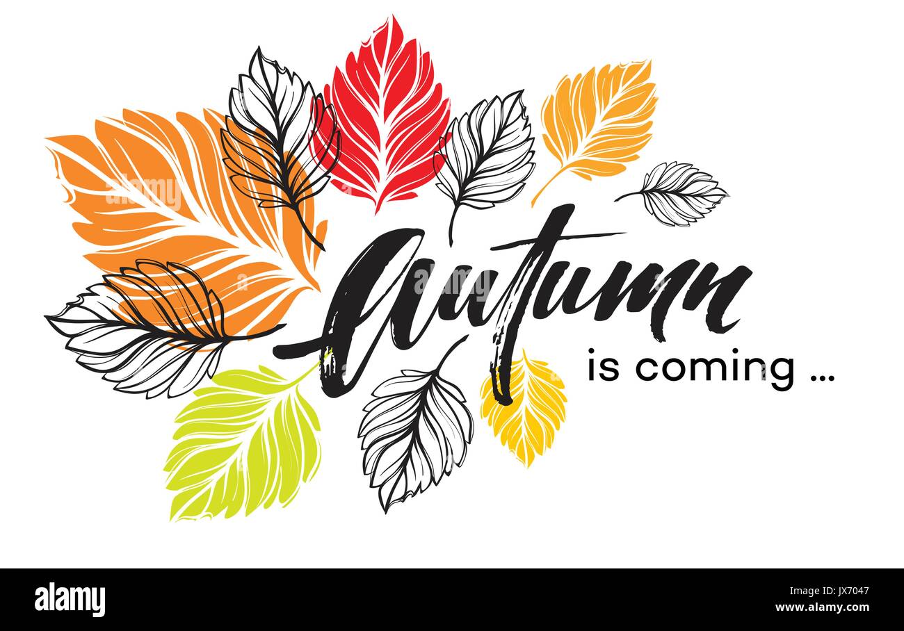 Fall background design with colorful autumn leaves. Vector illustration Stock Vector