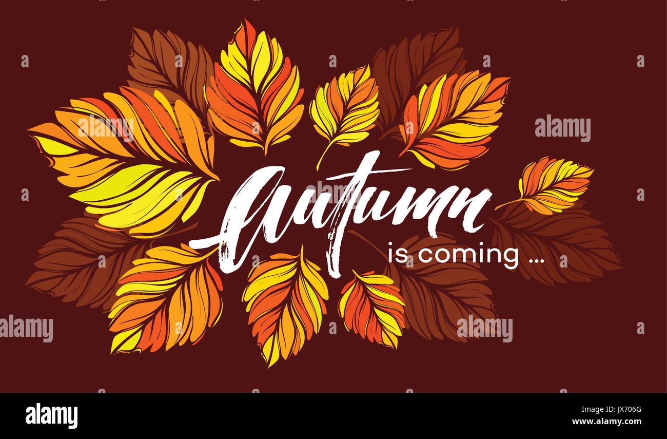 Fall background design with colorful autumn leaves. Vector illustration Stock Vector
