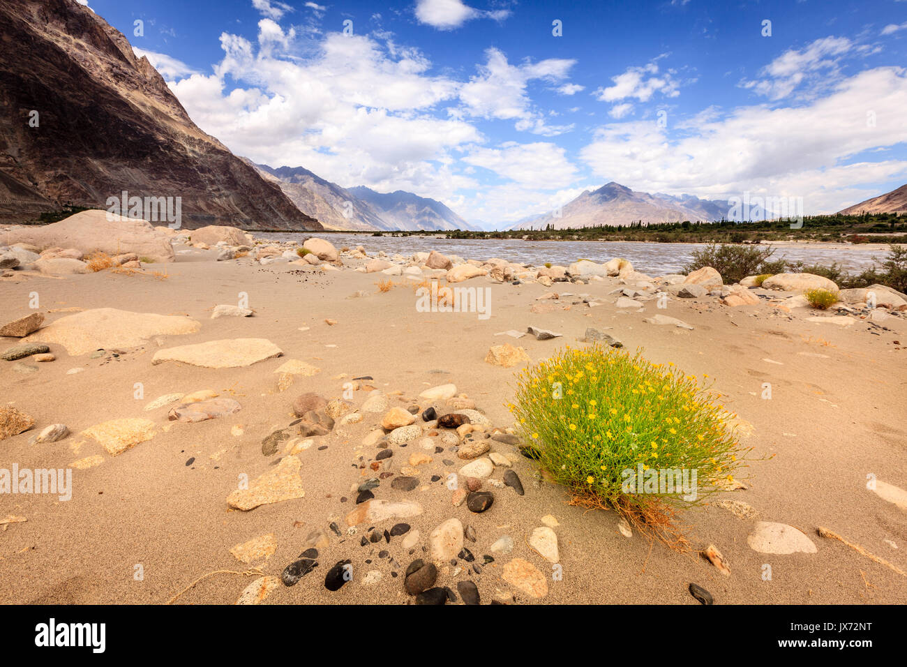 Nubra river hi-res stock photography and images - Alamy