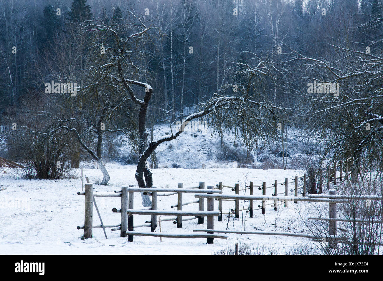 Rural nature season scene: wooden fence in winter forest covered by snow Stock Photo
