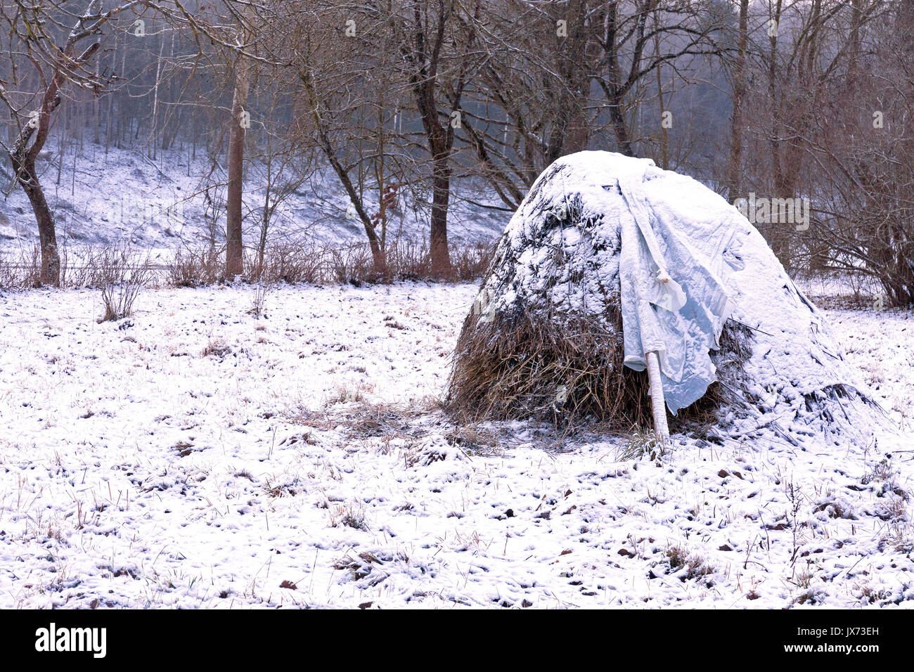 Rural nature season scene: hay stack in winter forest covered by snow Stock Photo