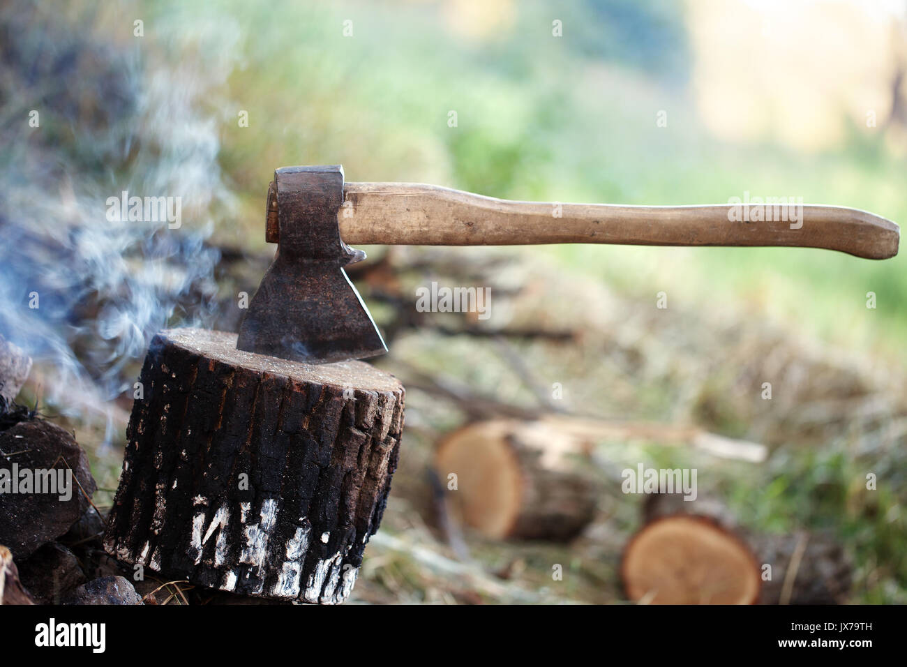 Axe in tree stump and smoke from campfire in morning at summer forest Stock  Photo - Alamy