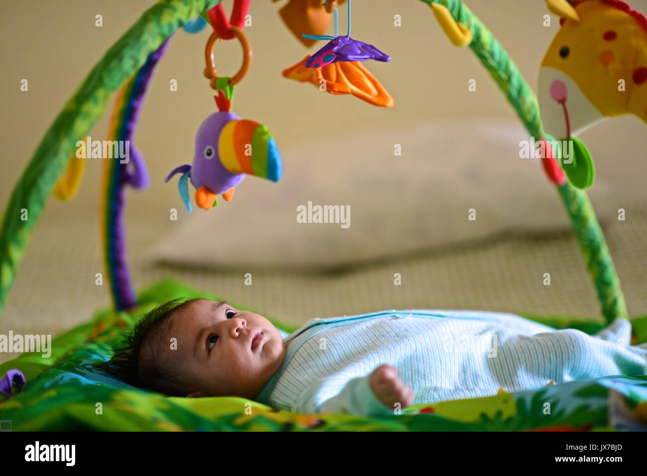 A seven-week-old baby girl exploring her senses at a baby gym. Stock Photo